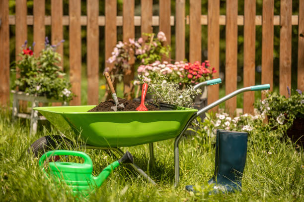 istock Wheelbarrow with Gardening tools in the garden 1226070762