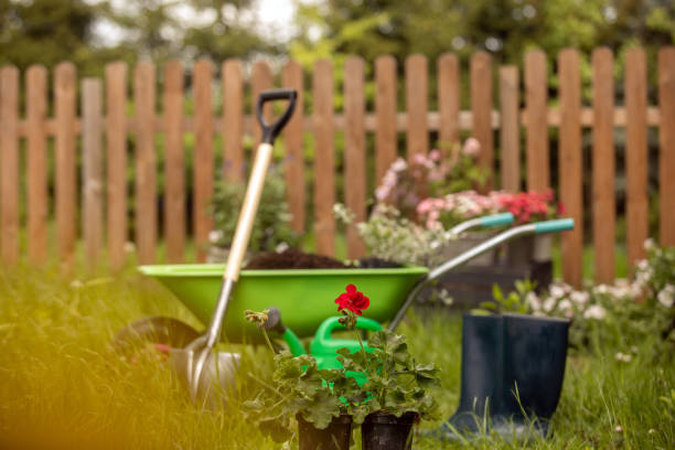 istock Wheelbarrow with Gardening tools in the garden 1226070782