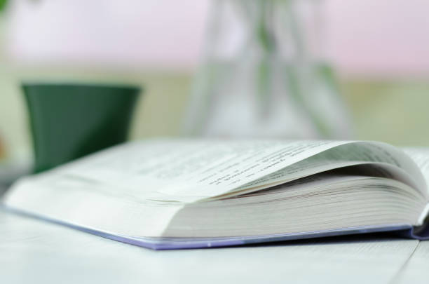 istock The concept of home schooling. 1226070852