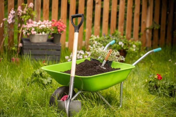 istock Wheelbarrow with Gardening tools in the garden 1226070900