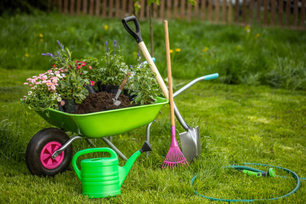 istock Wheelbarrow with Gardening tools in the garden 1226071096