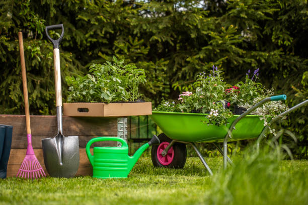 istock Wheelbarrow with Gardening tools in the garden 1226071248