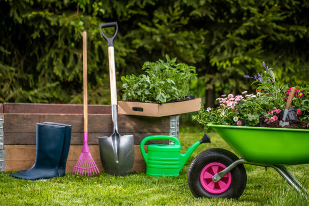 istock Wheelbarrow with Gardening tools in the garden 1226071292