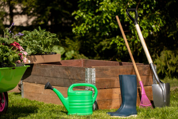 istock Wheelbarrow with Gardening tools in the garden 1226071365