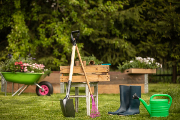 istock Wheelbarrow with Gardening tools in the garden 1226071940