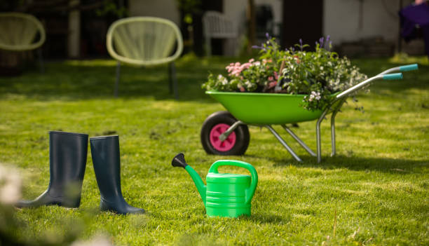 istock Wheelbarrow with Gardening tools in the garden 1226072123
