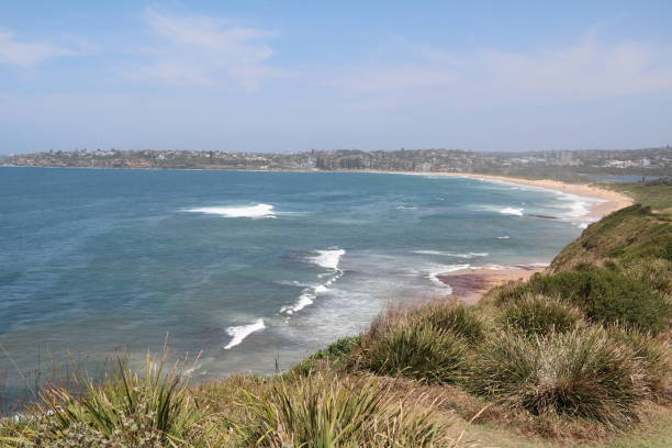 istock The Long Reef Headland in Sydney Australia 1226073318