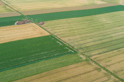 Village country farming shapes in field aerial drone photo