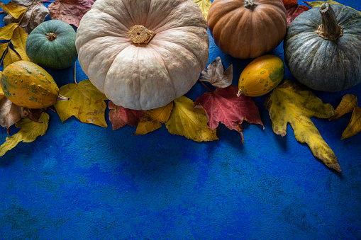 Autumn pumpkin background on dark blue table