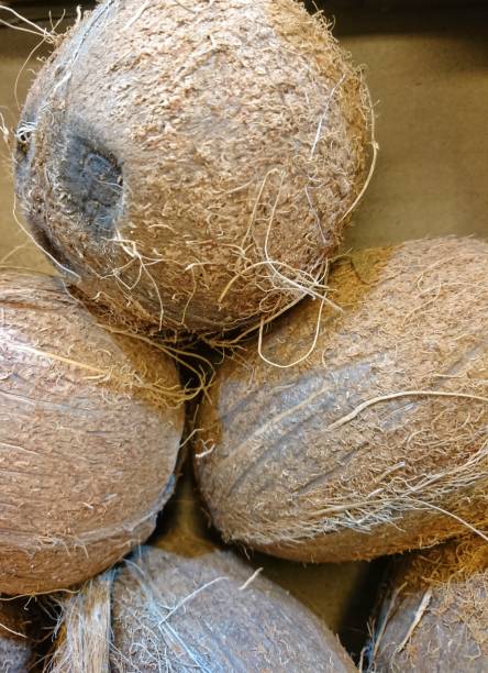 istock Big coconuts.  Vegetarian food.  Beautiful background. 1226076169