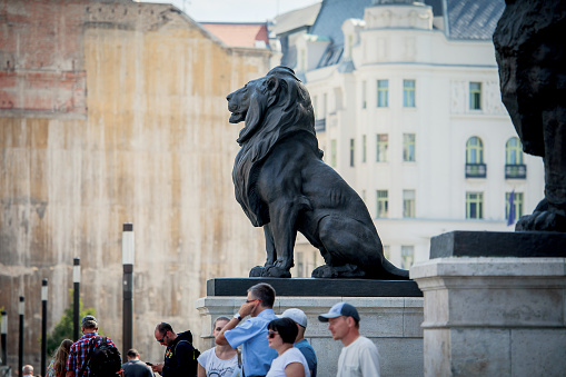 Budapest, Hungary - August 15, 2017: Sculpture of a lion near the Parliament building in Budapest.