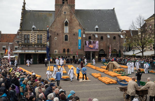 Typical cheese market in the city of Alkmaar in Netherlands Alkmaar, Netherlands - April 21, 2017: Typical cheese market in the city of Alkmaar in Netherlands, one of the only four traditional Dutch cheese markets still in existence and one of the country's most popular tourist attractions. cheese dutch culture cheese making people stock pictures, royalty-free photos & images