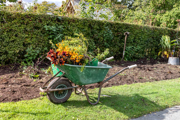 istock Wheelbarrow for working in the garden. 1226078816