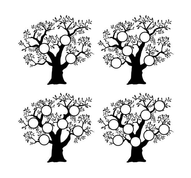 genealogiczna sylwetka drzewa genealogicznego - tree root family tree family stock illustrations