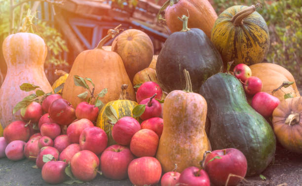 otoño colorido jardín del pueblo. cosecha de calabazas maduras y manzanas rojas - agriculture autumn apple greengrocers shop fotografías e imágenes de stock