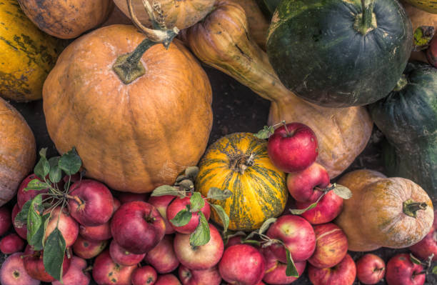 otoño colorido jardín del pueblo. cosecha de calabazas maduras y manzanas rojas - agriculture autumn apple greengrocers shop fotografías e imágenes de stock