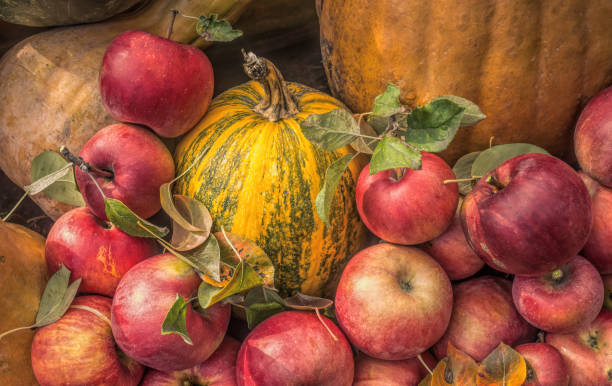 otoño colorido jardín del pueblo. cosecha de calabazas maduras y manzanas rojas - agriculture autumn apple greengrocers shop fotografías e imágenes de stock