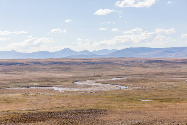 istock Typical view of Mongolian landscape. Mongolian steppe, Altai, Mongolia 1226083560
