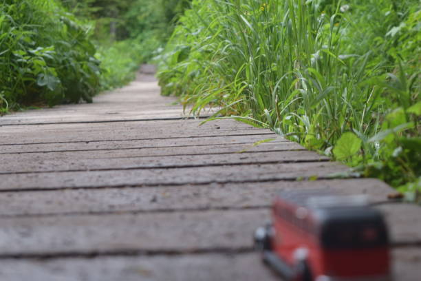 toy bus on the boardwalk - us glacier national park montana bus park imagens e fotografias de stock