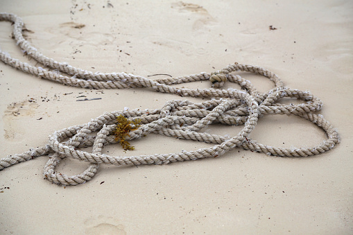 Closeup of frayed green braided synthetic rope fastened to driftwood and washed ashore on a sandy bank of a wide Dutch river.
