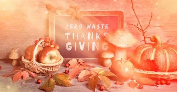 Text "Zero Waste Thanksgiving" on blackboard. Autumn traditional decorations, toned panoramic image. Fall leaves, berries, mushrooms, pumpkins, flowers on wood.