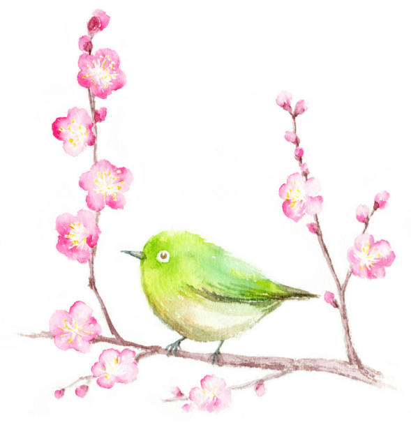 istock Watercolor illustration of plum blossoms and white-eye. 1226096132