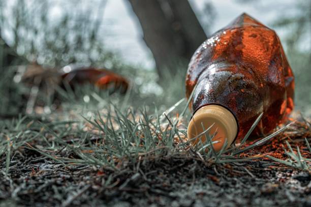 istock Waste management. Plastic trash in environment forest. Rubbish garbage in woodland. Save nature Ecology and pollution concept. 1226098807