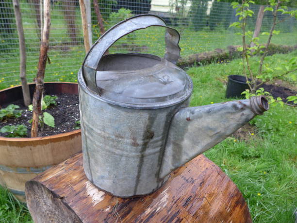 istock old galvanized watering can in garden 1226108970