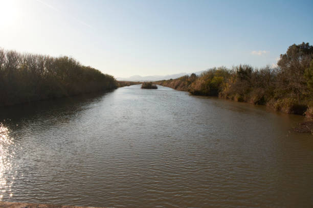 istock S'Albufera Natural Park lagoon, Mallorca 1226116655