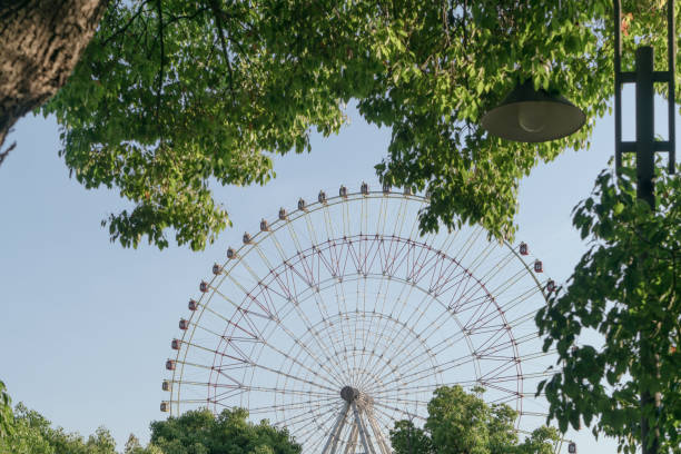 istock The ferris wheel and trees in a sunny day. 1226116661