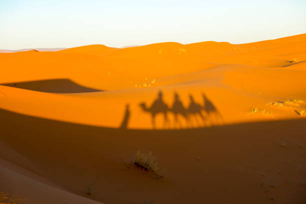 istock Bright colors of the desert. 1226118440