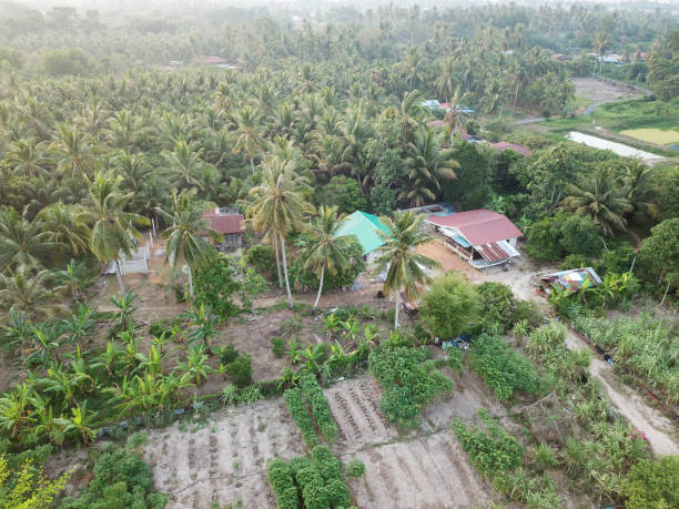 istock Rural area of Malays kampung. 1226123843