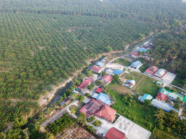 istock Aerial view village house 1226123895