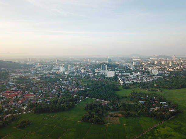 istock Aerial view paddy field 1226124056