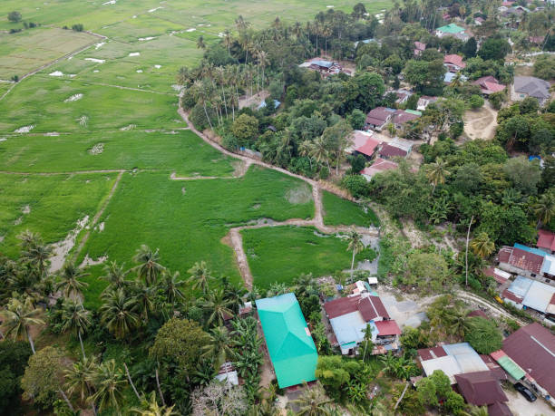 istock Drone view Malays kampung beside green paddy field. 1226124080