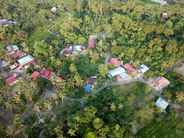 istock Drone view Malays village surrounded by green scenery.. 1226124116