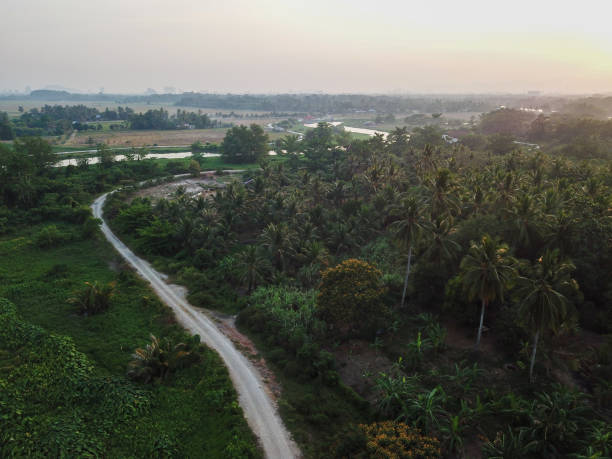istock Aerial view green scenery rural area 1226125687