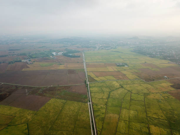 istock Aerial view paddy field in mist. 1226125774