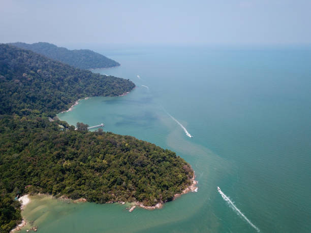 istock Aerial view Penang National Park 1226129908