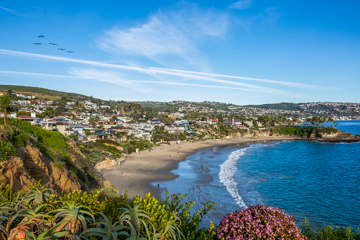 Late afternoon view of the Laguna Beach, California coastline framed by beautiful flowers.