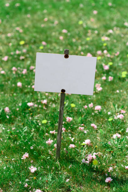 istock Plate on a background of green lawn. Place for text. 1226132880