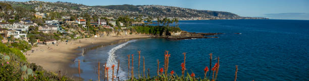 Laguna Beach, California Late afternoon panoramic view of the Laguna Beach, California coastline framed by beautiful flowers. laguna beach california photos stock pictures, royalty-free photos & images