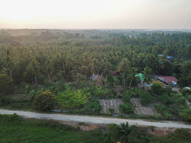 istock Rural scene of Malays house 1226133946