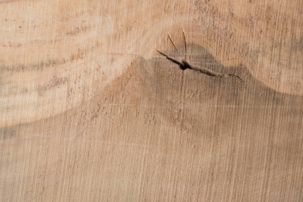 istock Wood texture background surface with old natural pattern. Texture of wood background close up. Top view. Copy space. 1226136644