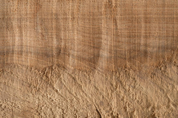 istock Wood texture background surface with old natural pattern. Texture of wood background close up. Top view. Copy space. 1226136707