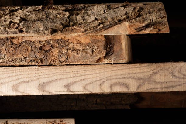 istock Wood texture background surface with old natural pattern. Texture of wood background close up. Top view. Copy space. 1226136949