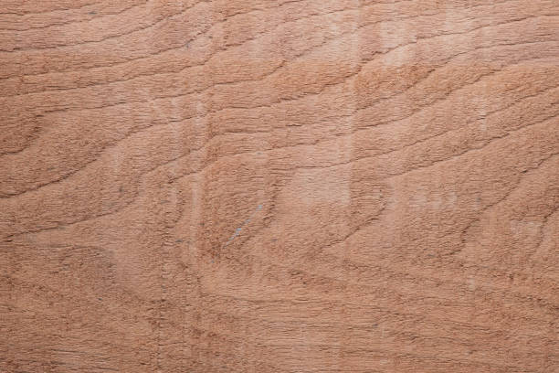 istock Wood texture background surface with old natural pattern. Texture of wood background close up. Top view. Copy space. 1226138117