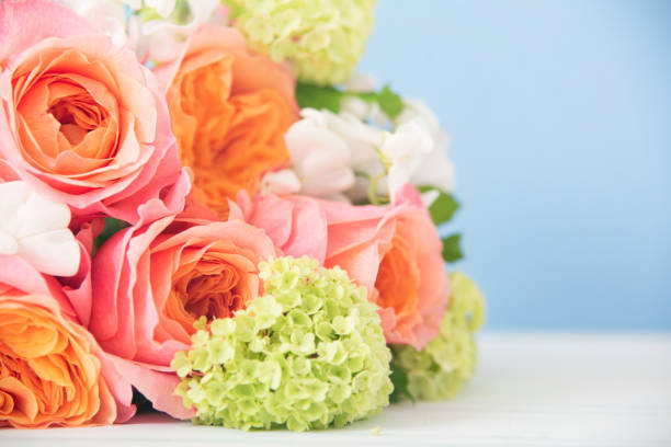 bouquet of the pink rose - fresh cut flowers imagens e fotografias de stock