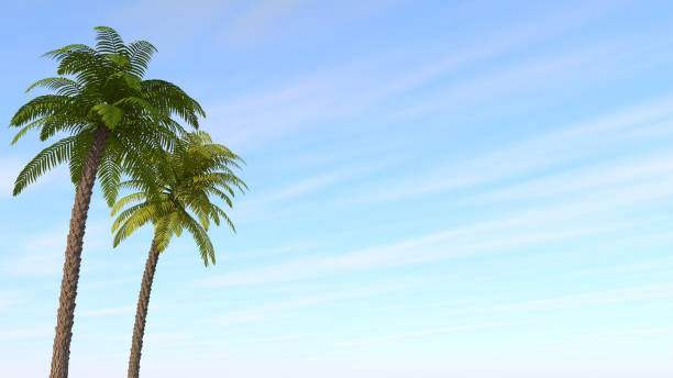 Dusk sky. Palm tree. Resort area. Palm tree. 3D illustration. Vacation.