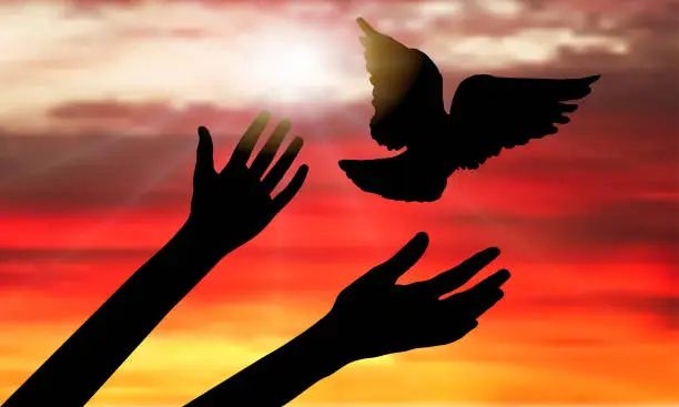 Vector illustration of Silhouette of flying bird from woman's hands on background of sunset with rays of sun. Vector illustration